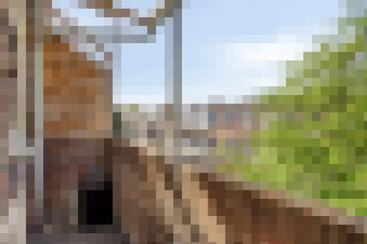 Noordpolderkade 177 B Den Haag thumbnail 24