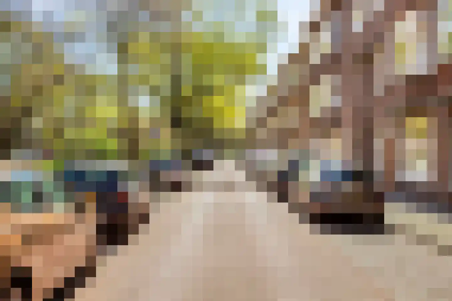 Noordpolderkade 177 B Den Haag thumbnail 32