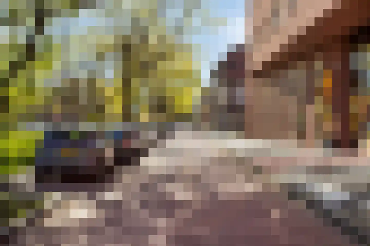 Noordpolderkade 177 B Den Haag thumbnail 38