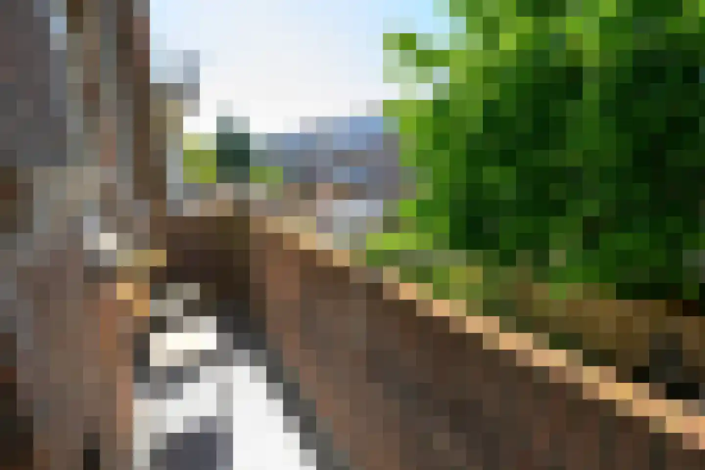 Noordpolderkade 179 Den Haag thumbnail 32