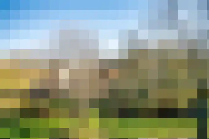 Noordpolderkade 189 Den Haag thumbnail 16