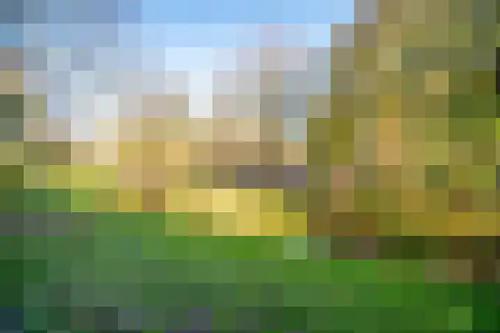 Noordpolderkade 189 Den Haag thumbnail 39