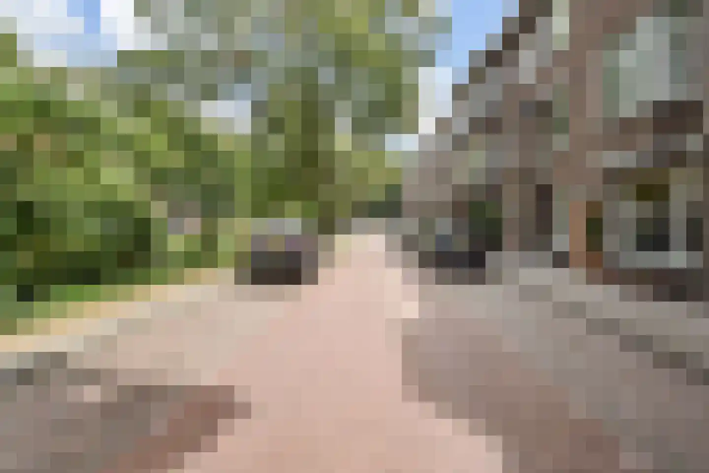 Noordpolderkade 205 Den Haag thumbnail 26