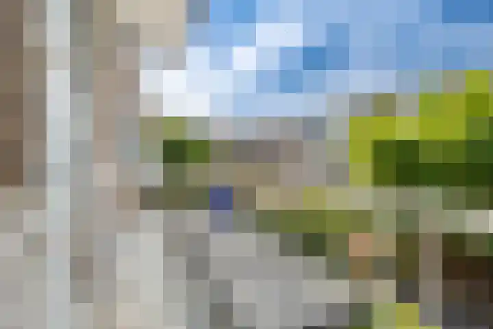 Noordpolderkade 227 Den Haag thumbnail 17
