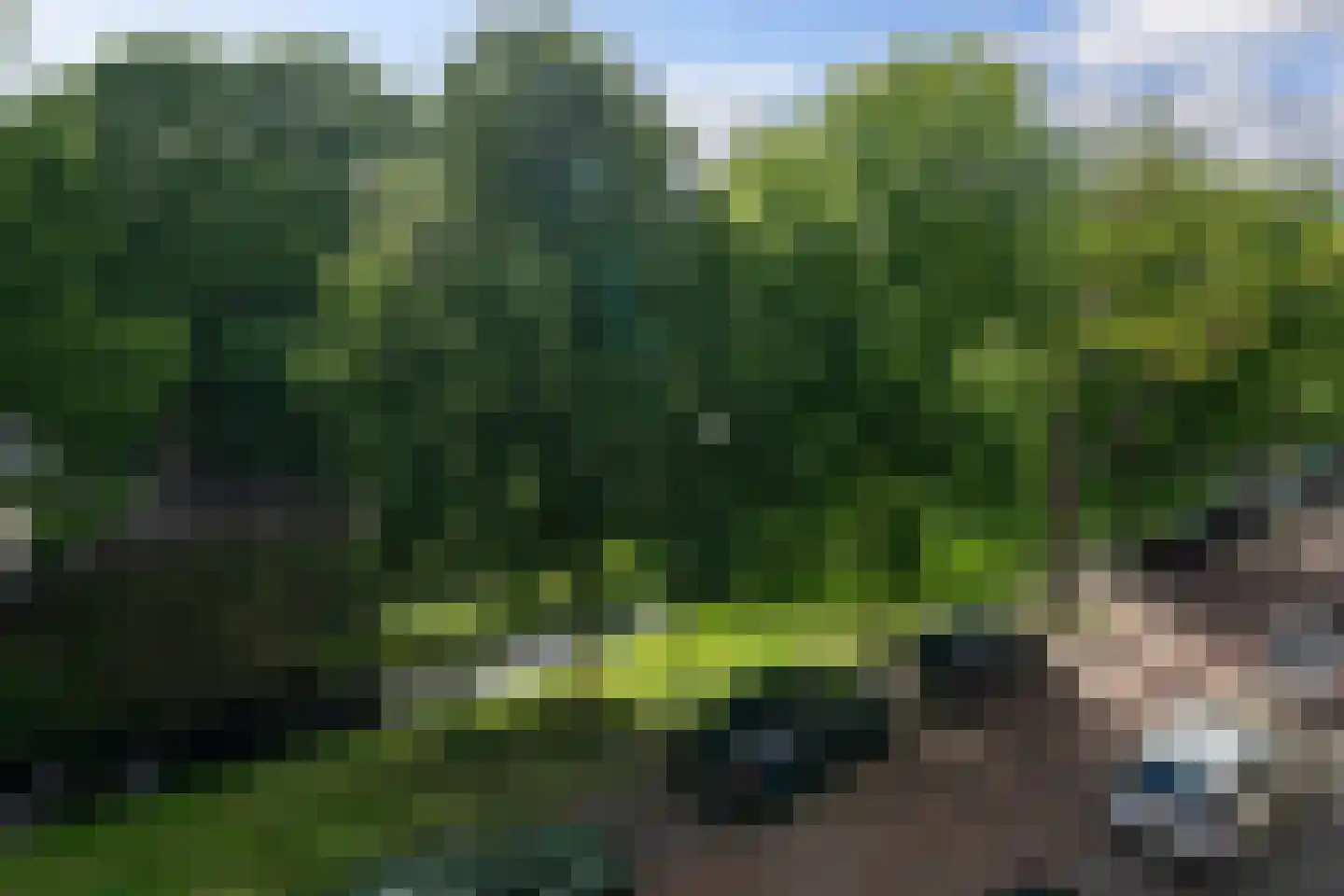 Noordpolderkade 428 Den Haag thumbnail 26