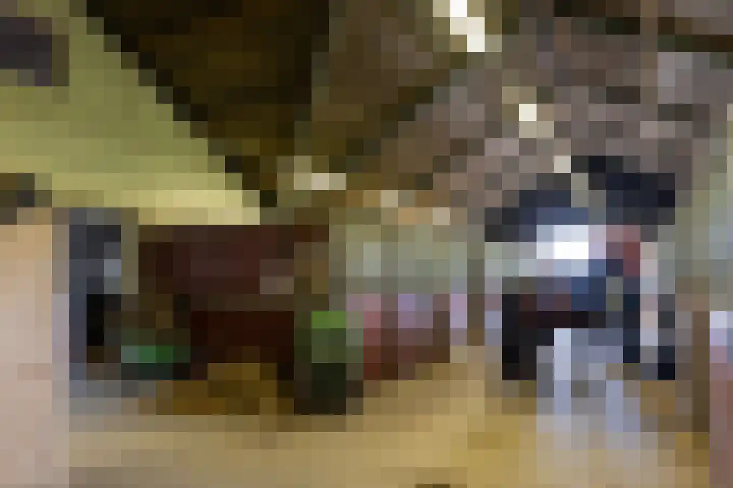 Noordpolderweg 2 Muiden thumbnail 27