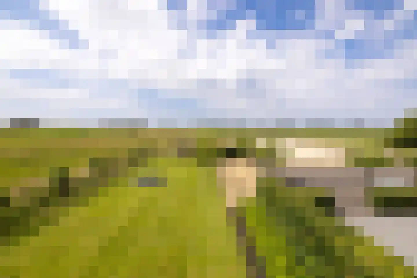 Noordpolderweg 2 Muiden thumbnail 30