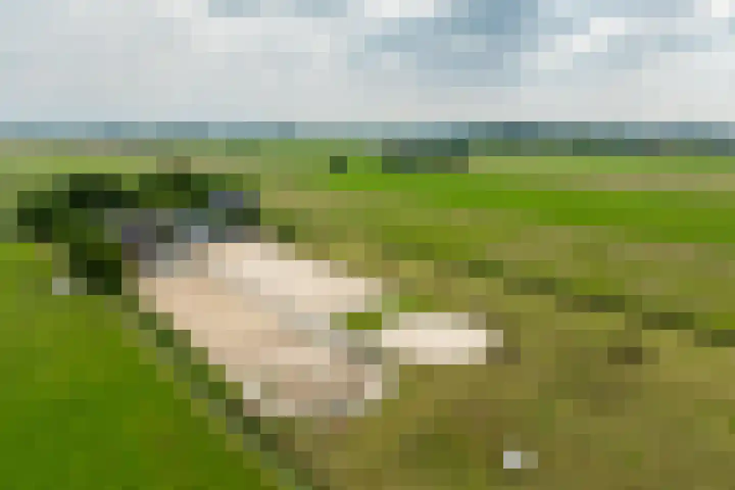Noordpolderweg 2 Muiden thumbnail 31