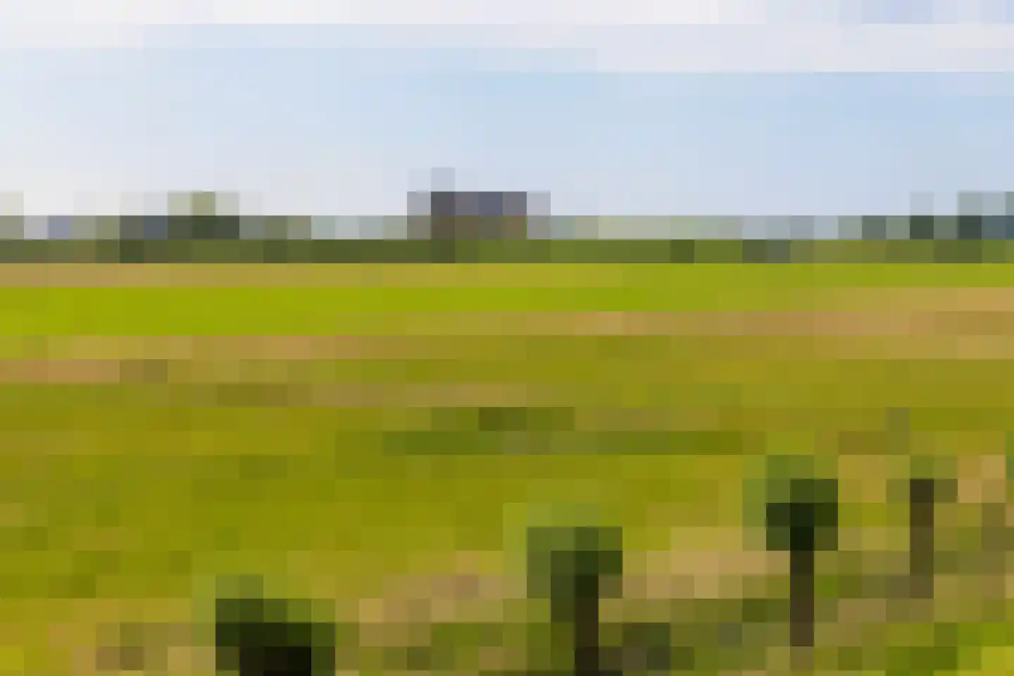 Noordpolderweg 2 Muiden thumbnail 32