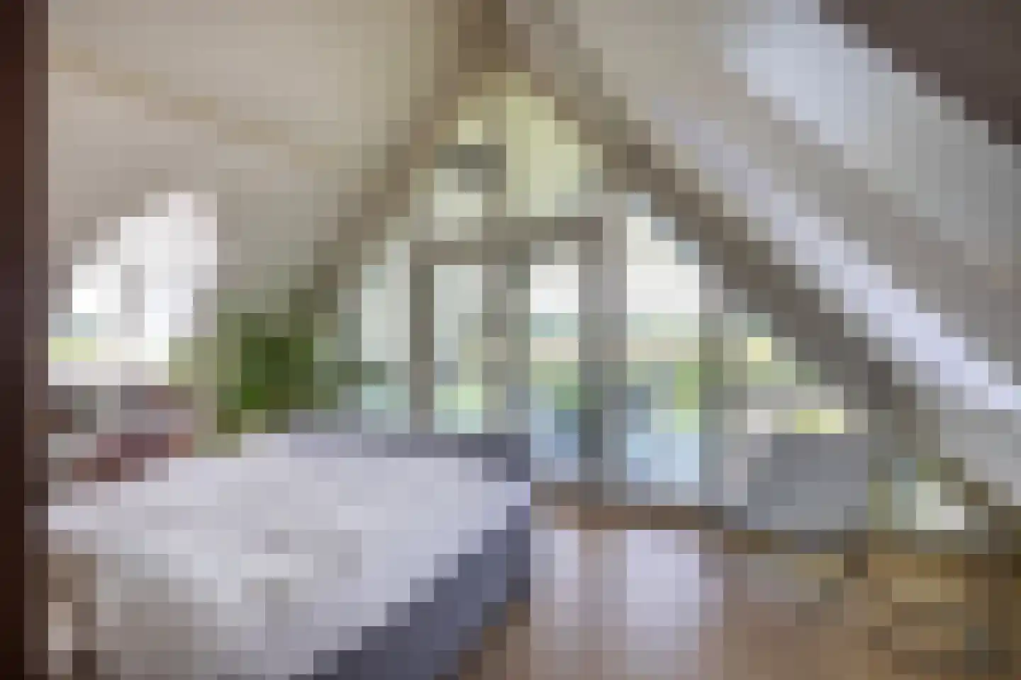 Noordpolderweg 2 Muiden thumbnail 33