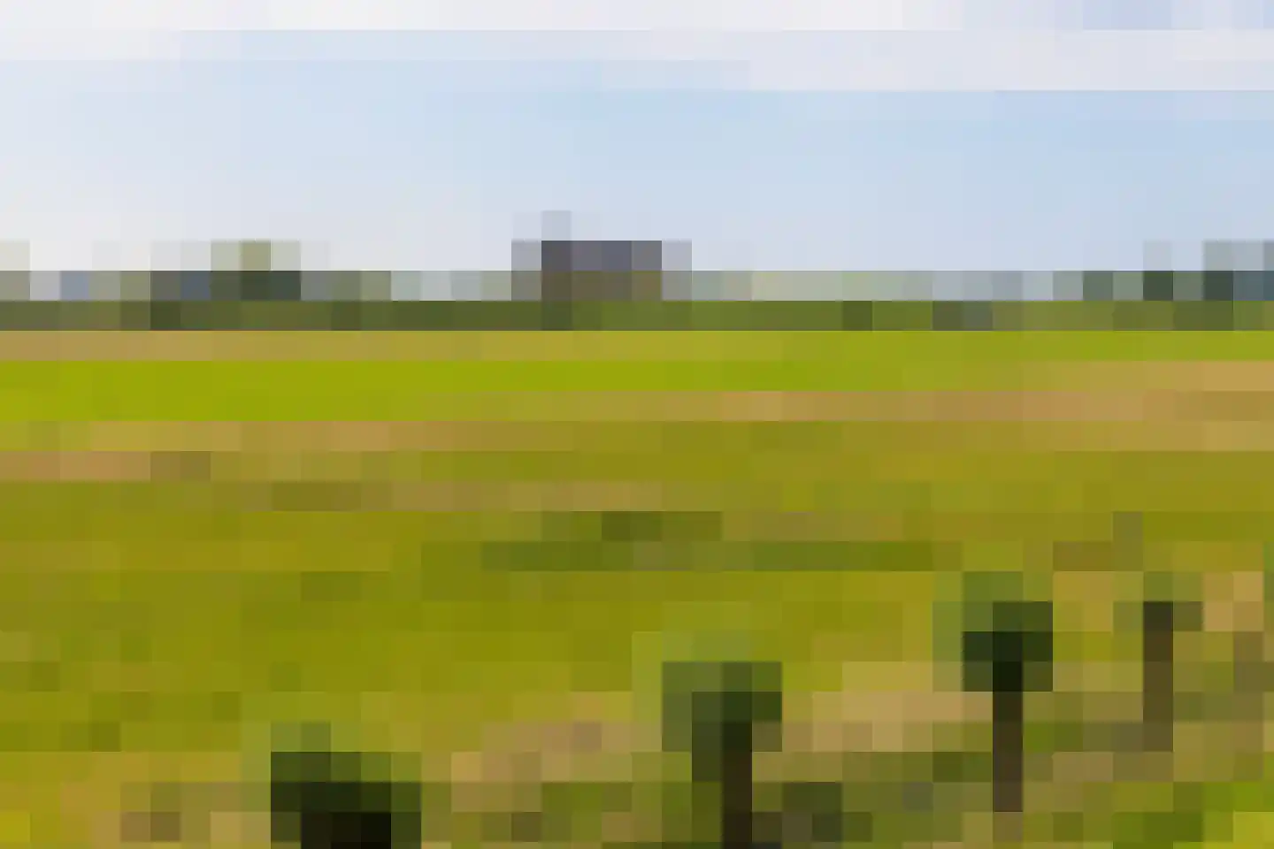 Noordpolderweg 2 Muiden thumbnail 37
