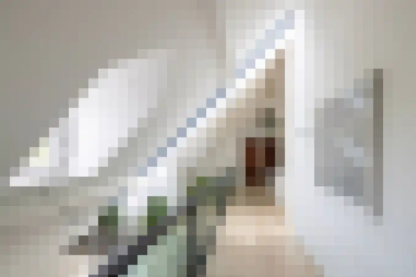 Noordpolderweg 2 Muiden thumbnail 44
