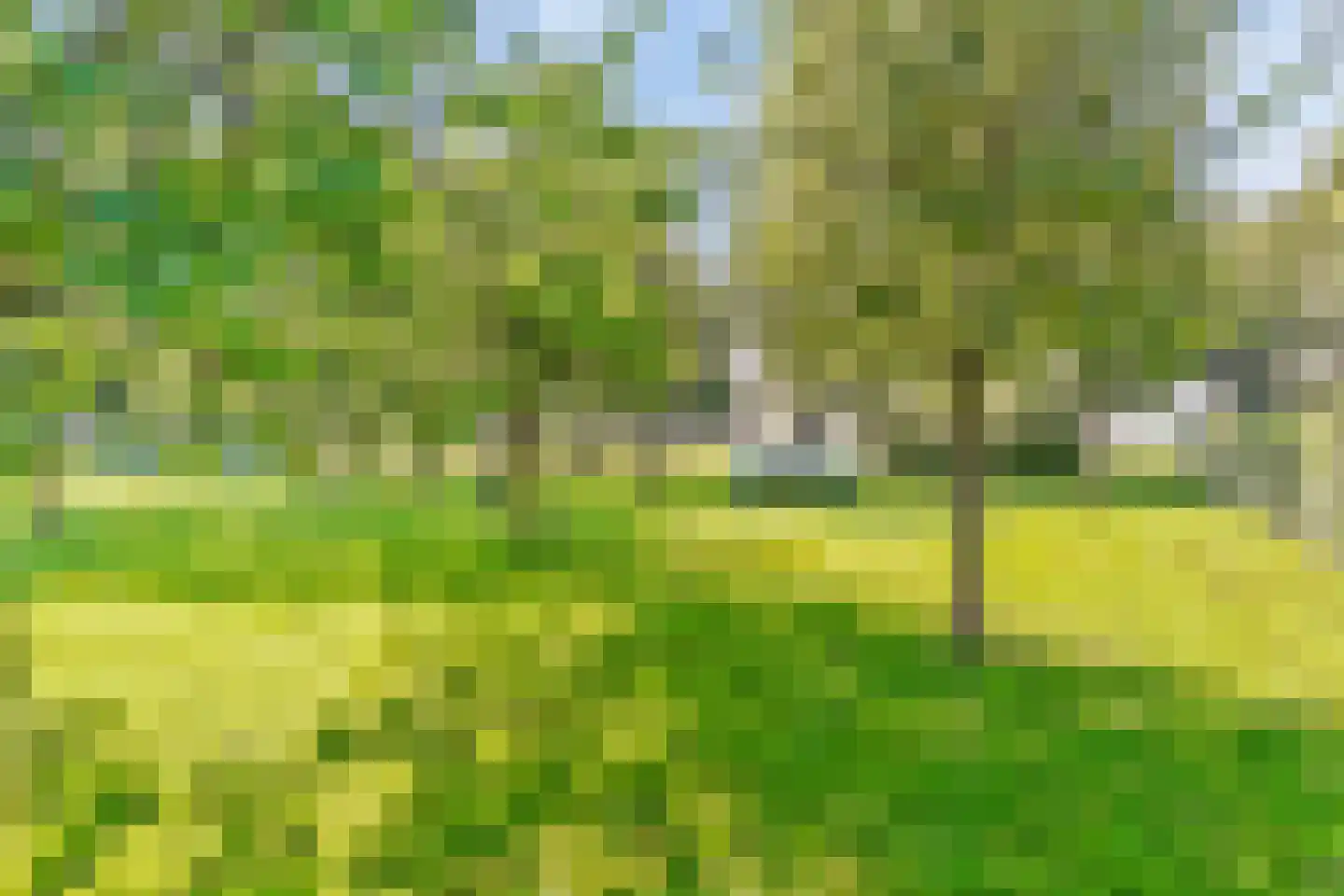 Noordpolderweg 2 Muiden thumbnail 62