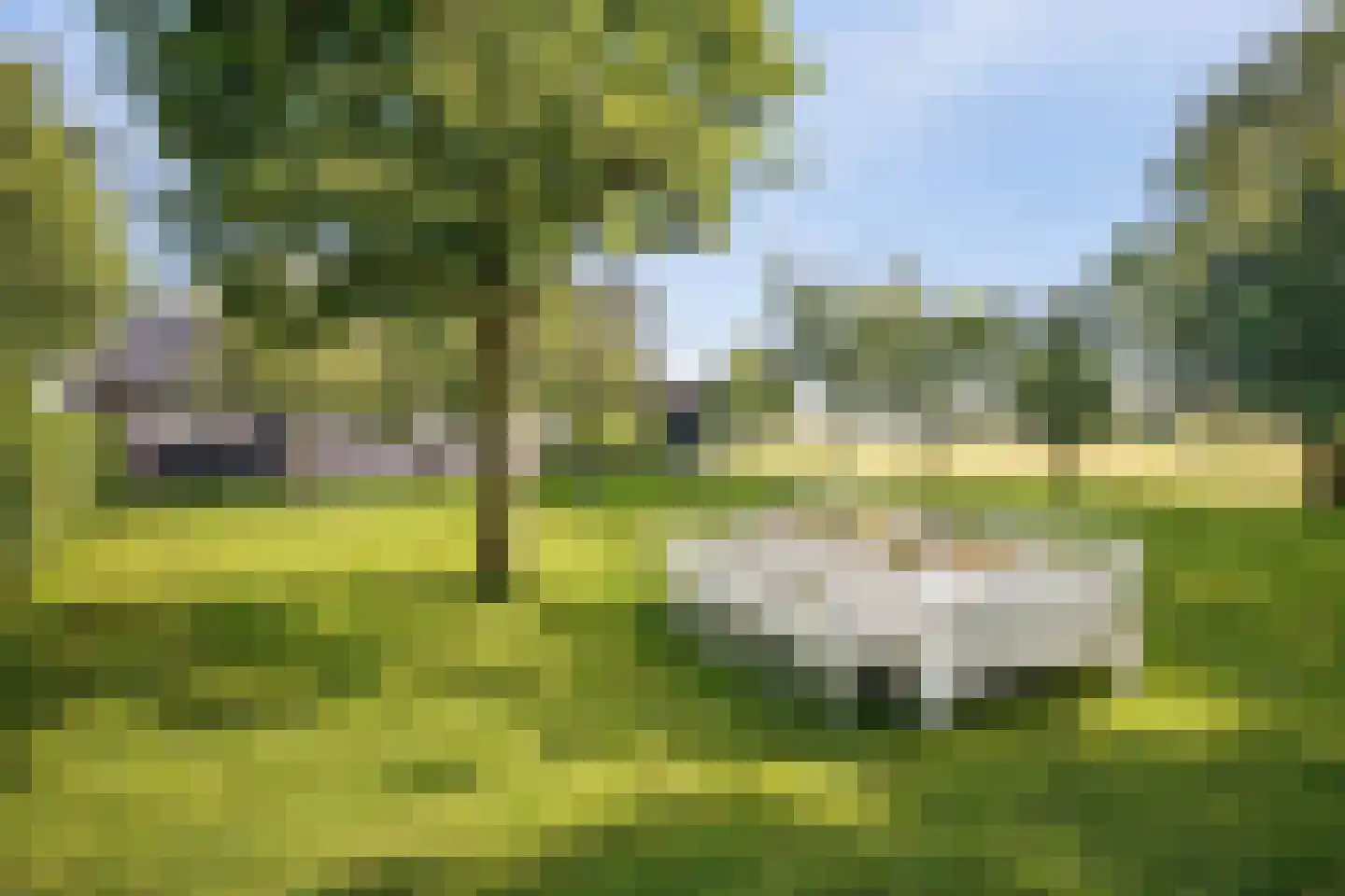 Noordpolderweg 2 Muiden thumbnail 63
