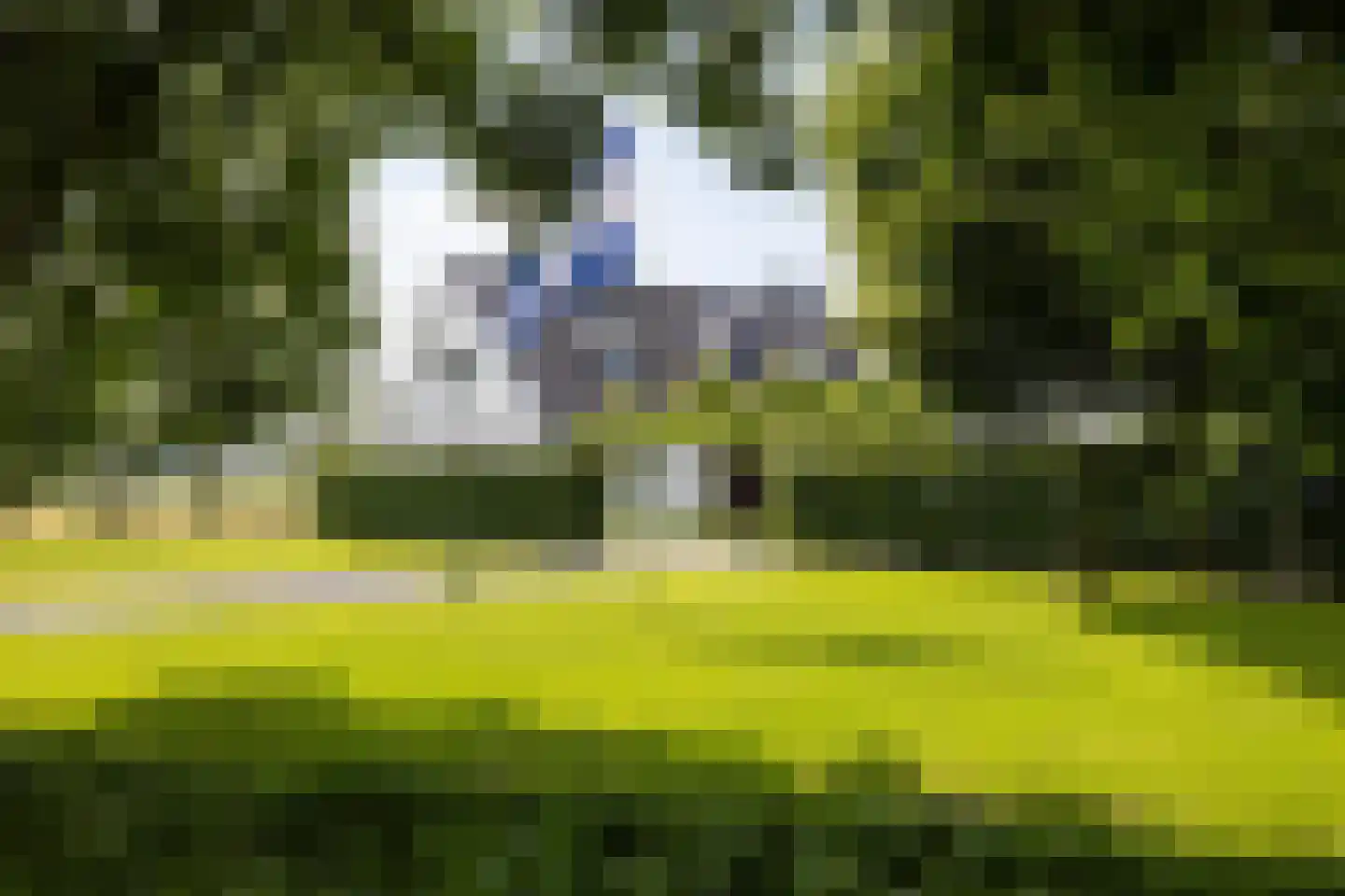 Noordpolderweg 2 Muiden thumbnail 66