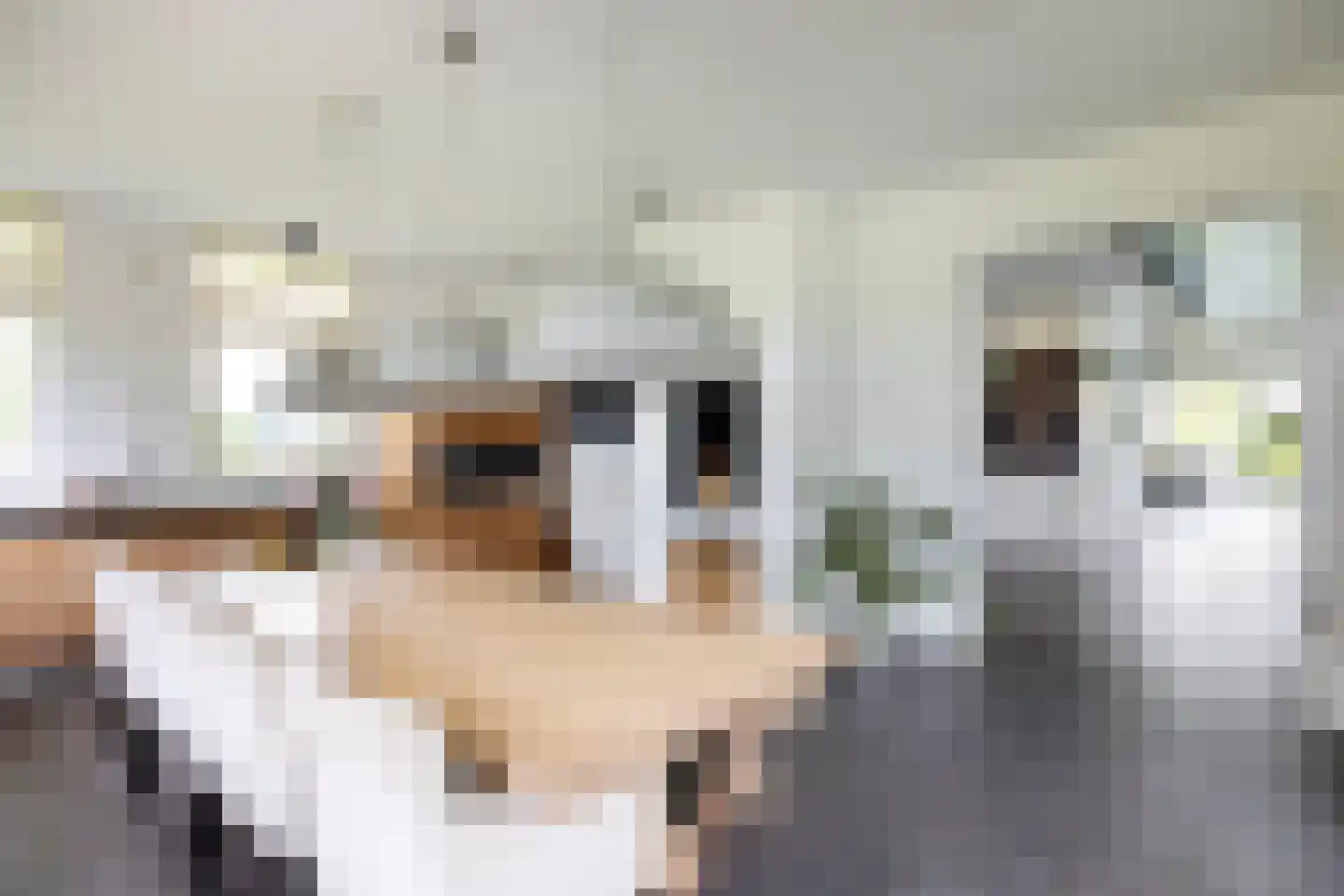 Noordpolderweg 2 Muiden thumbnail 7