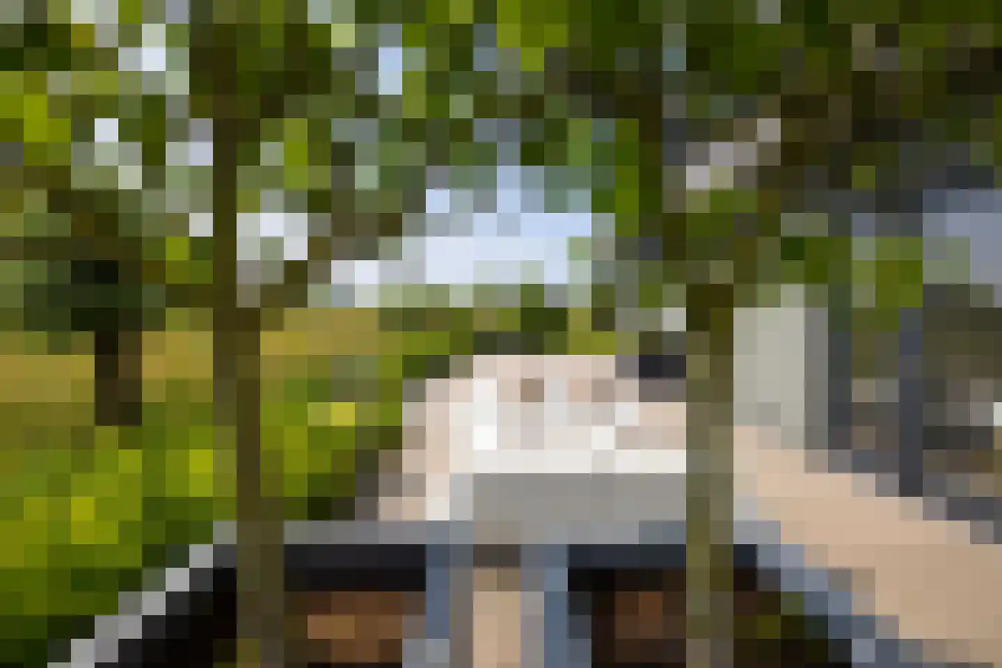 Noordpolderweg 2 Muiden thumbnail 70