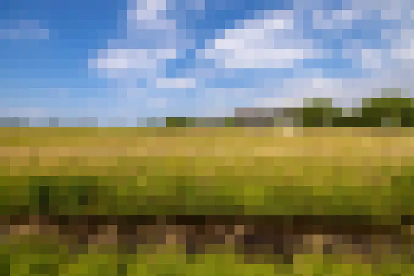 Noordpolderweg 2 Muiden thumbnail 78