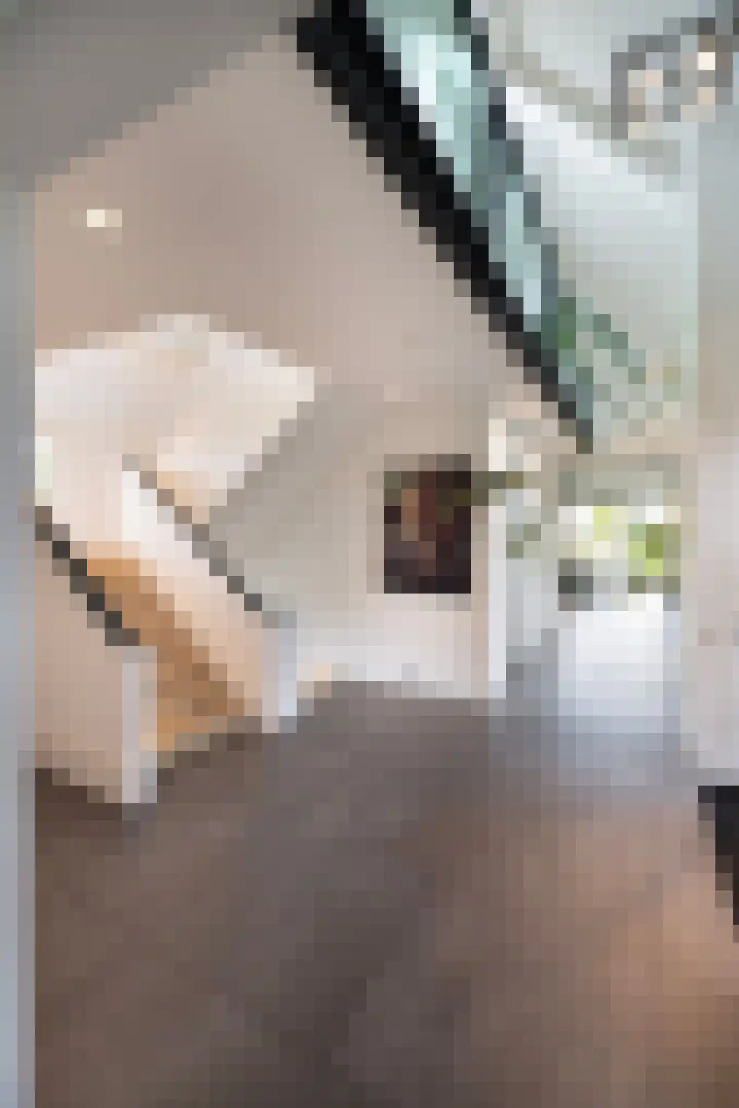 Noordpolderweg 2 Muiden thumbnail 8