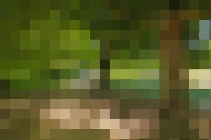 Noordpoortstraat 1 Middelburg thumbnail 38