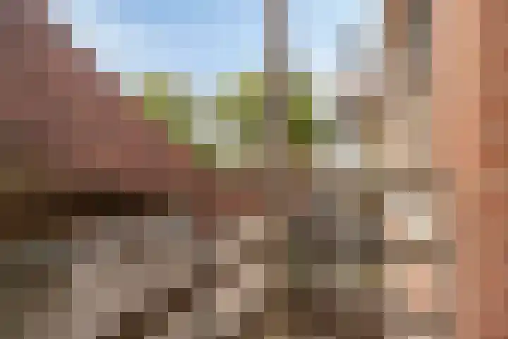Noordpoortstraat 9 Middelburg thumbnail 10