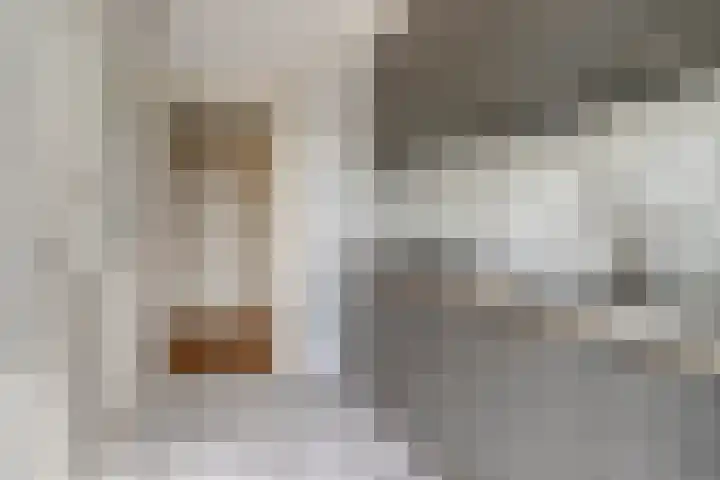 Noordpoortstraat 9 Middelburg thumbnail 11