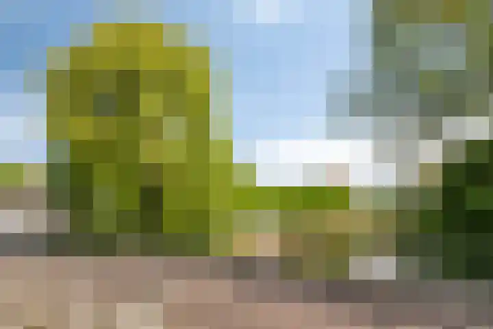 Noordpoortstraat 9 Middelburg thumbnail 17