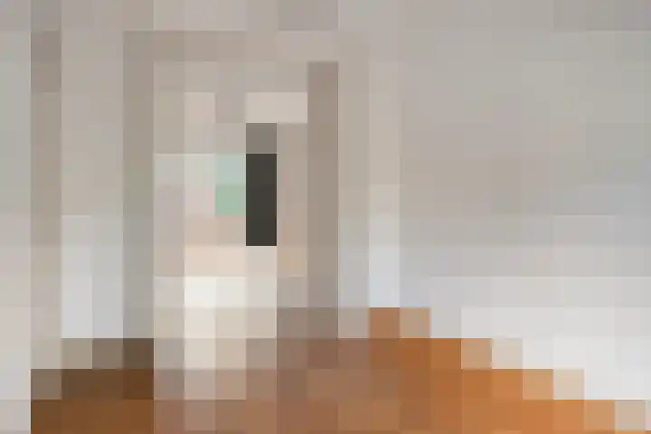 Noordpoortstraat 9 Middelburg thumbnail 6