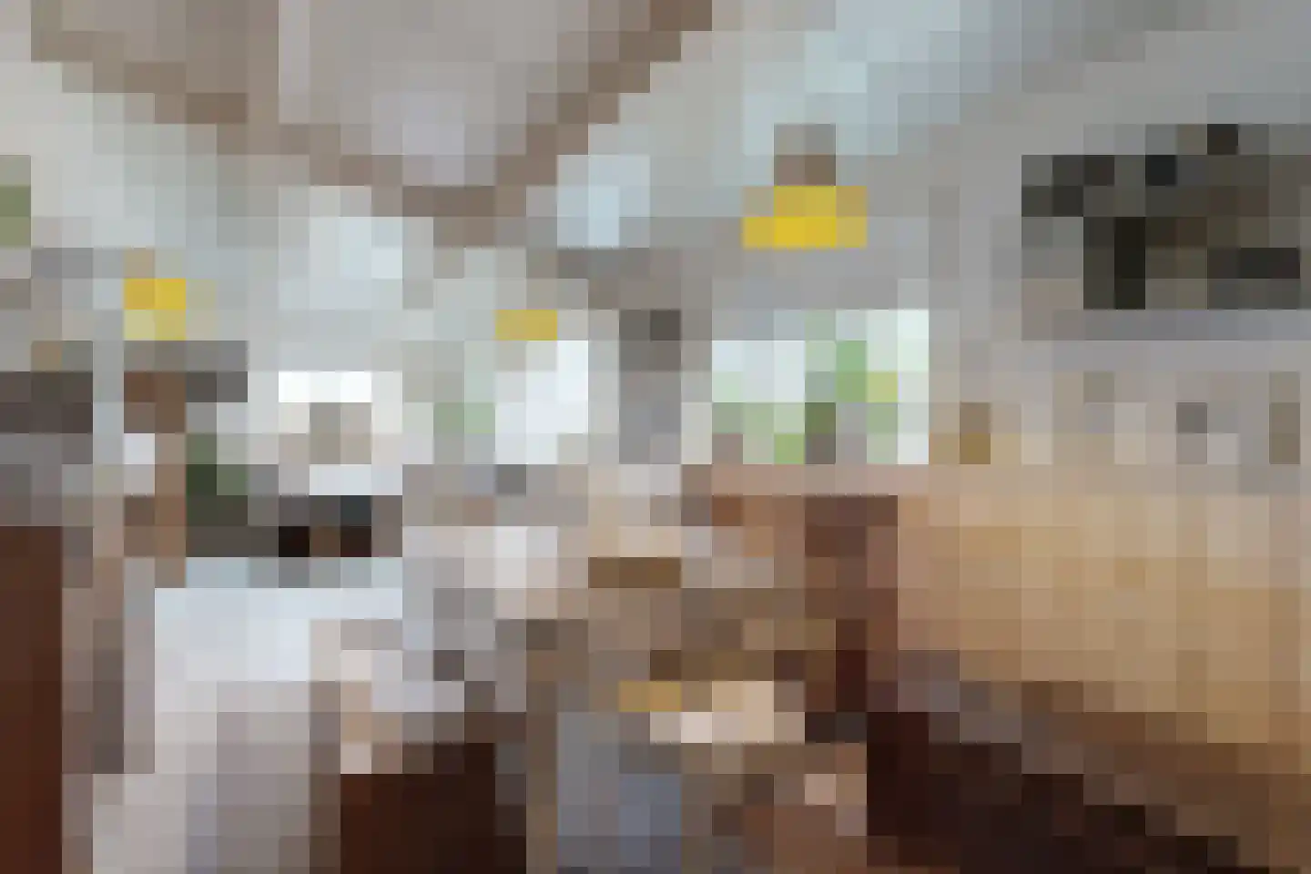 Noordschans 11 Klundert thumbnail 27