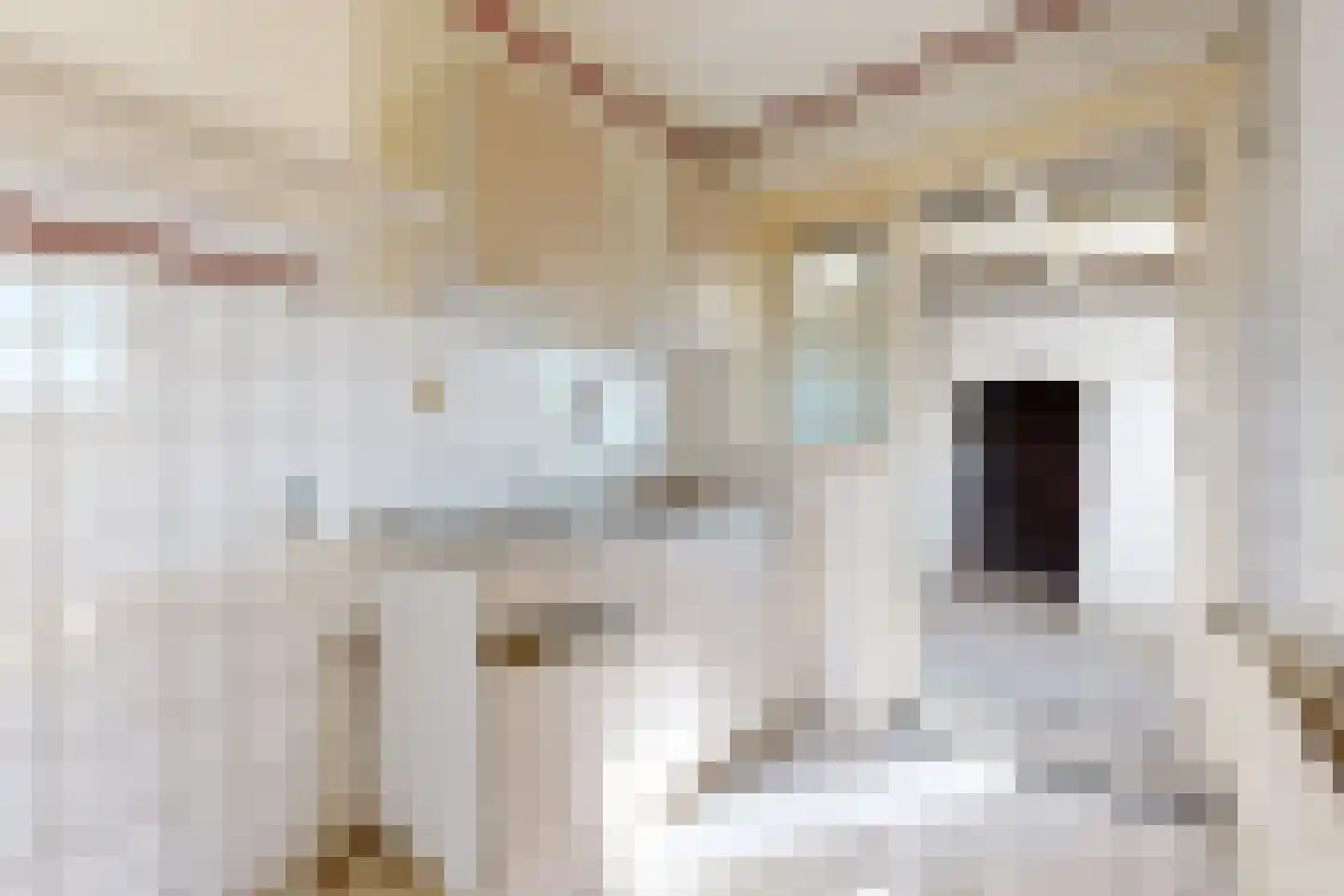 Noordschans 16 Klundert thumbnail 13