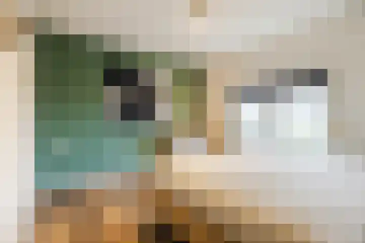 Noordschans 18 Klundert thumbnail 23