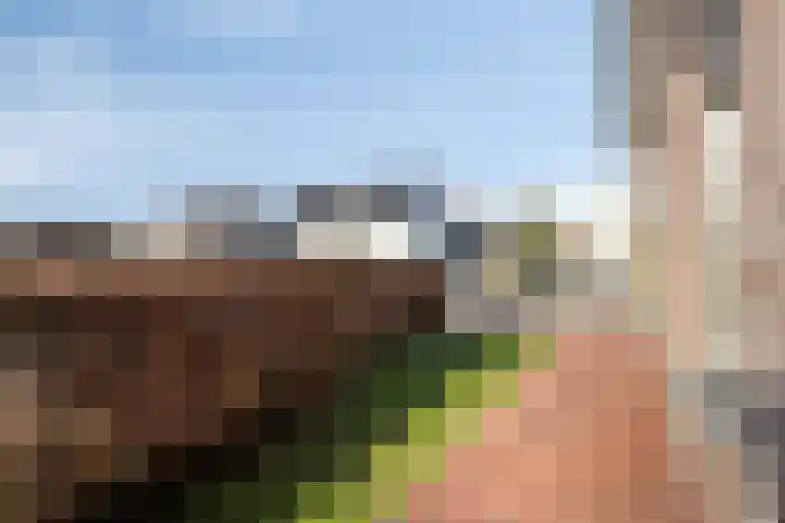 Noordschans 24 Klundert thumbnail 29