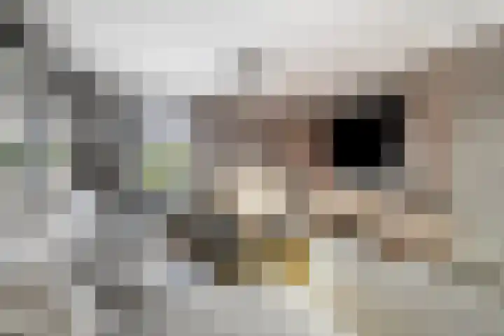 Noordschans 24 Klundert thumbnail 5