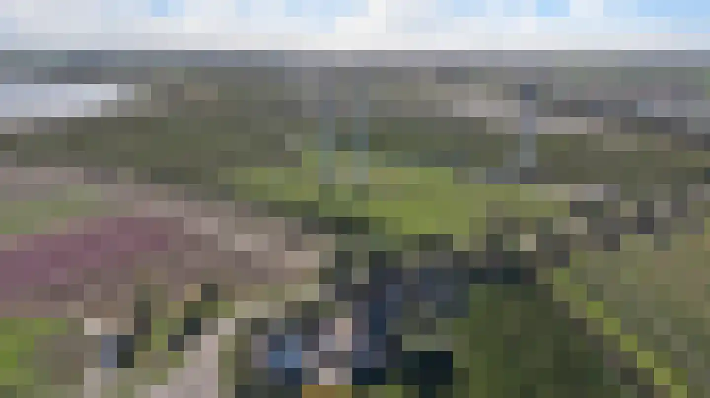 Noordschans 3 Krabbendijke thumbnail 39