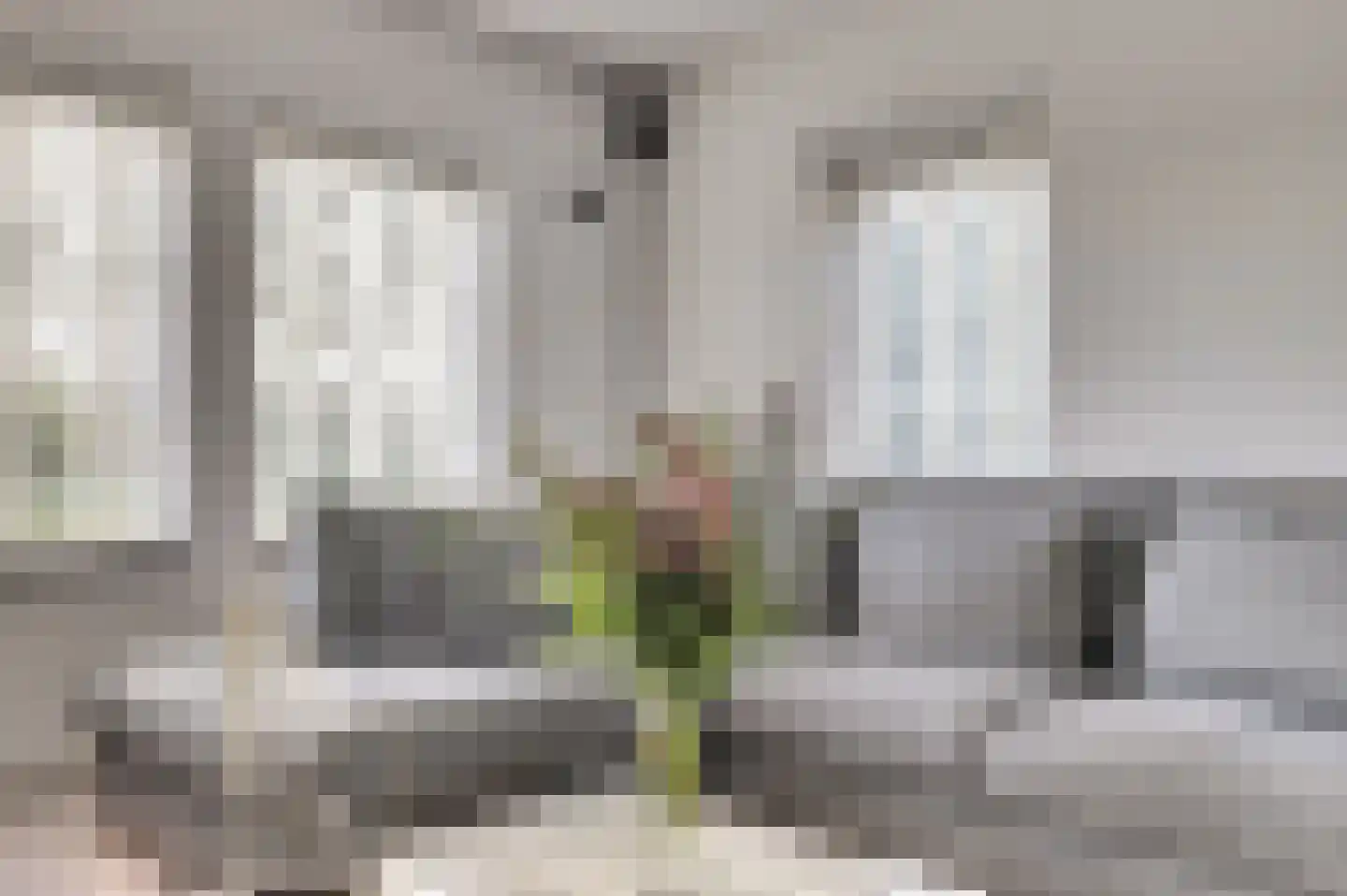 Noordschans 3 Krabbendijke thumbnail 6