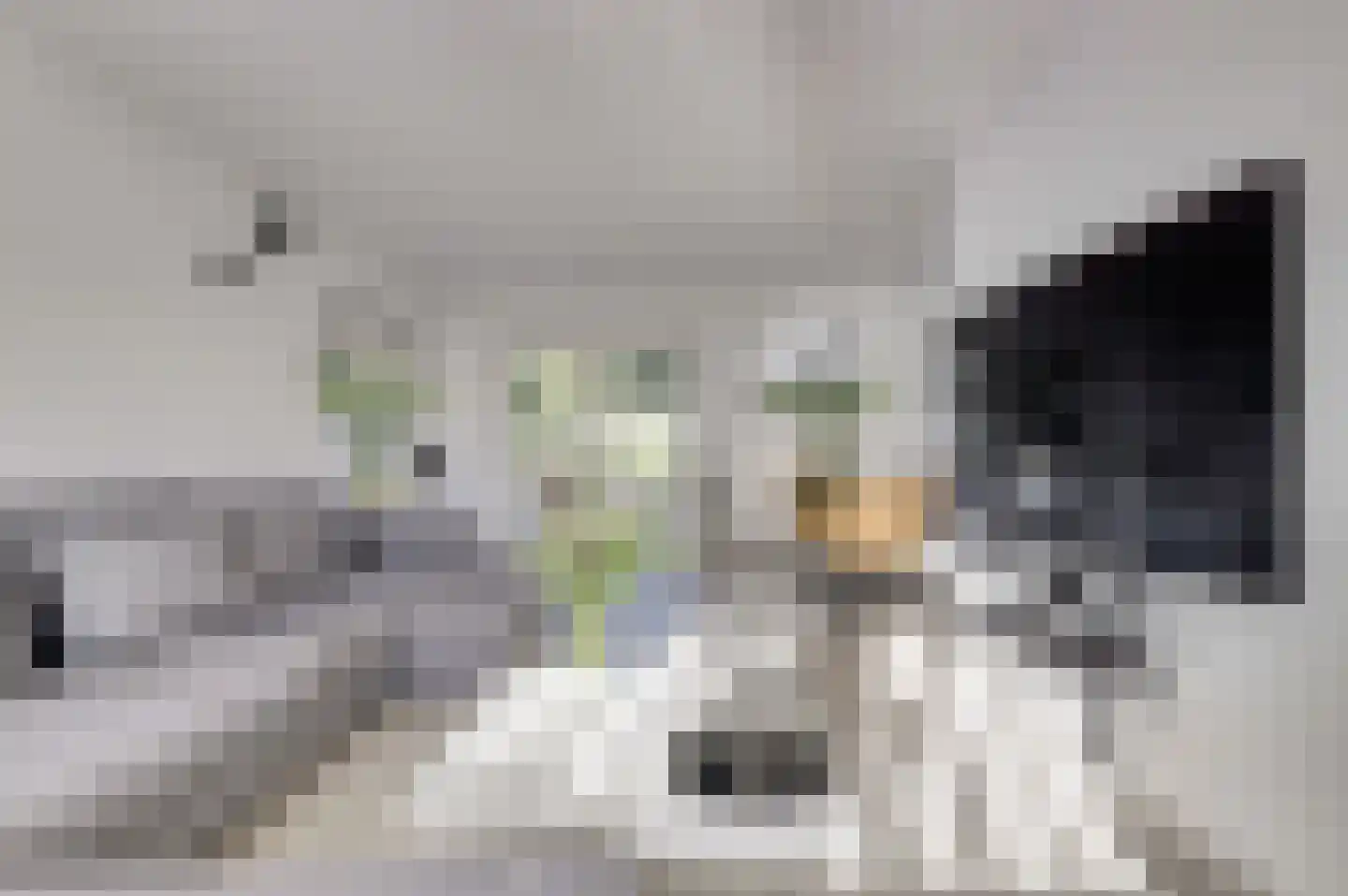 Noordschans 3 Krabbendijke thumbnail 7