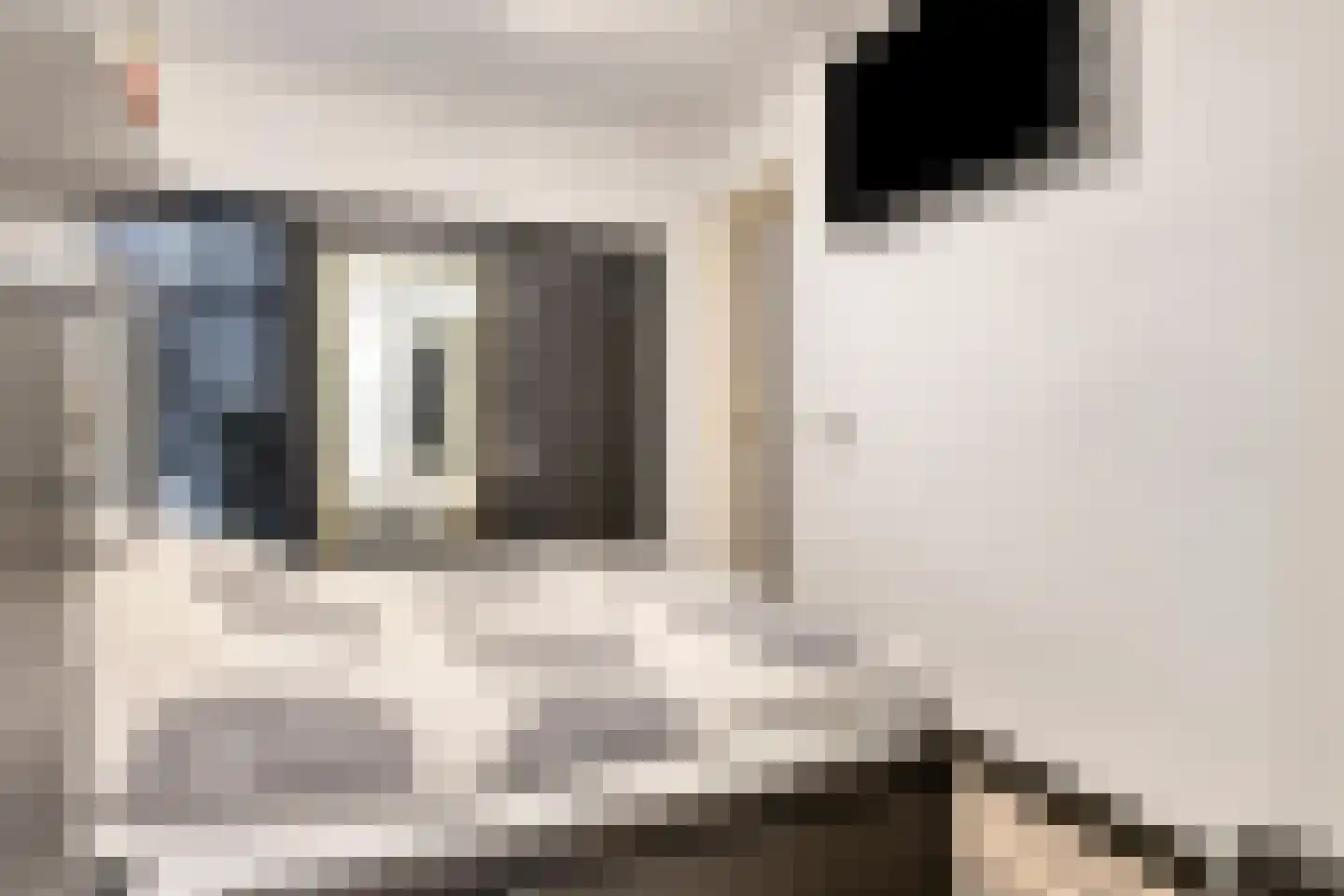 Noordschans 4 Oude Wetering thumbnail 13