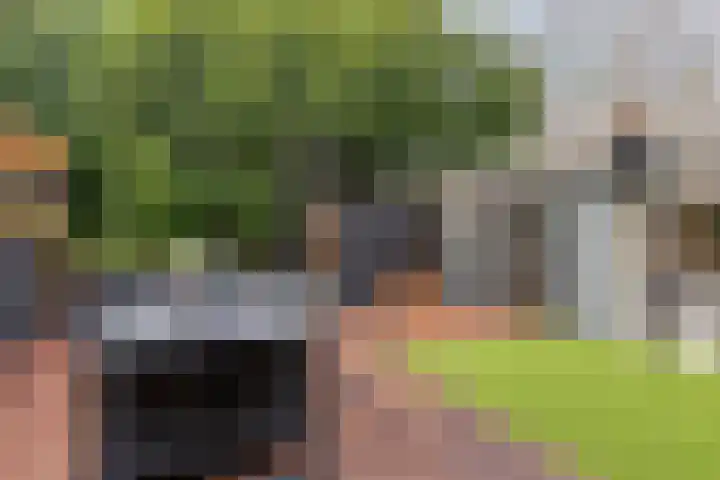 Noordschans 4 Oude Wetering thumbnail 20