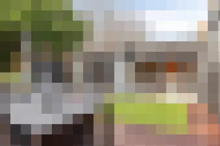 Noordschans 4 Oude Wetering thumbnail 21