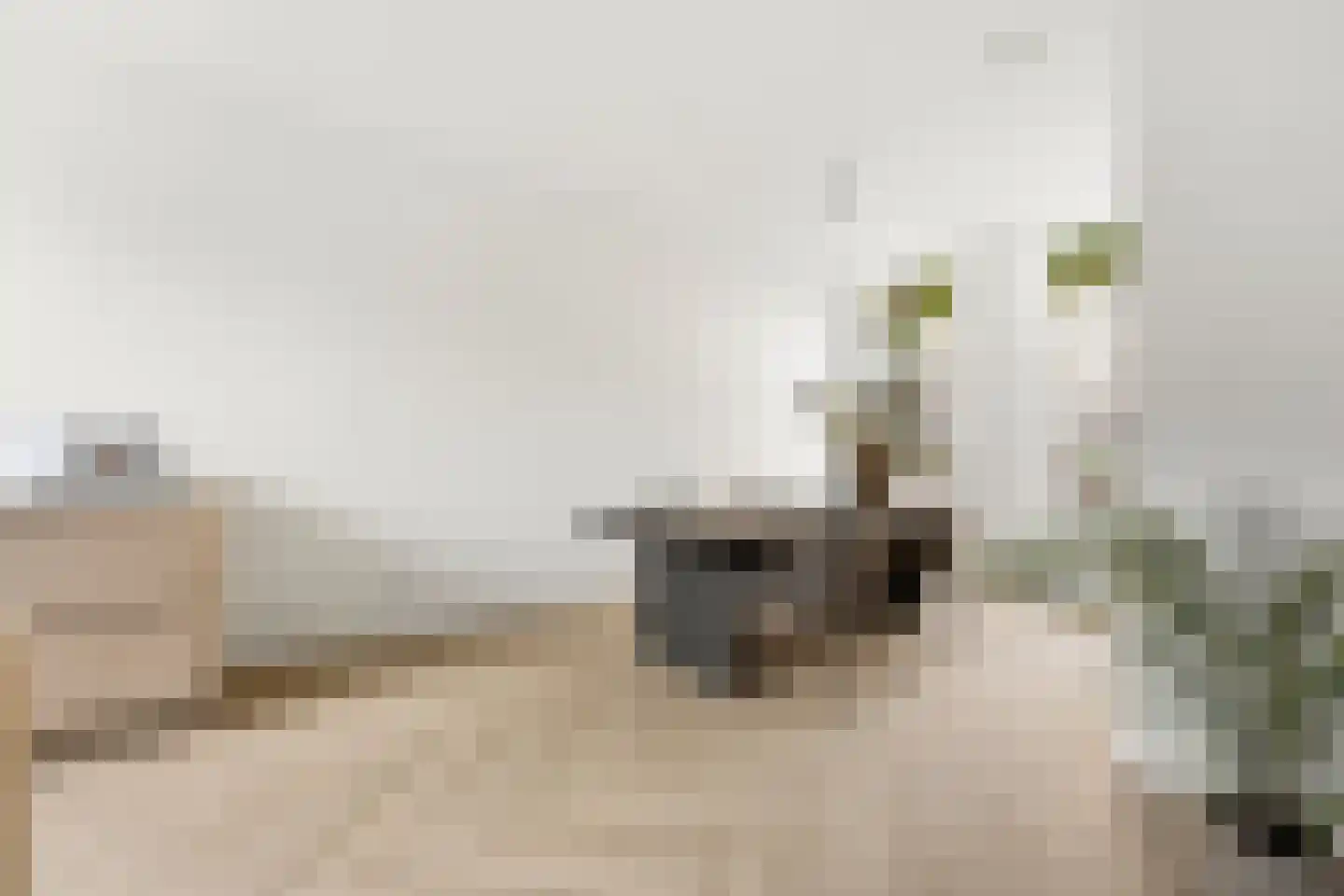 Noordschans 4 Rotterdam thumbnail 6
