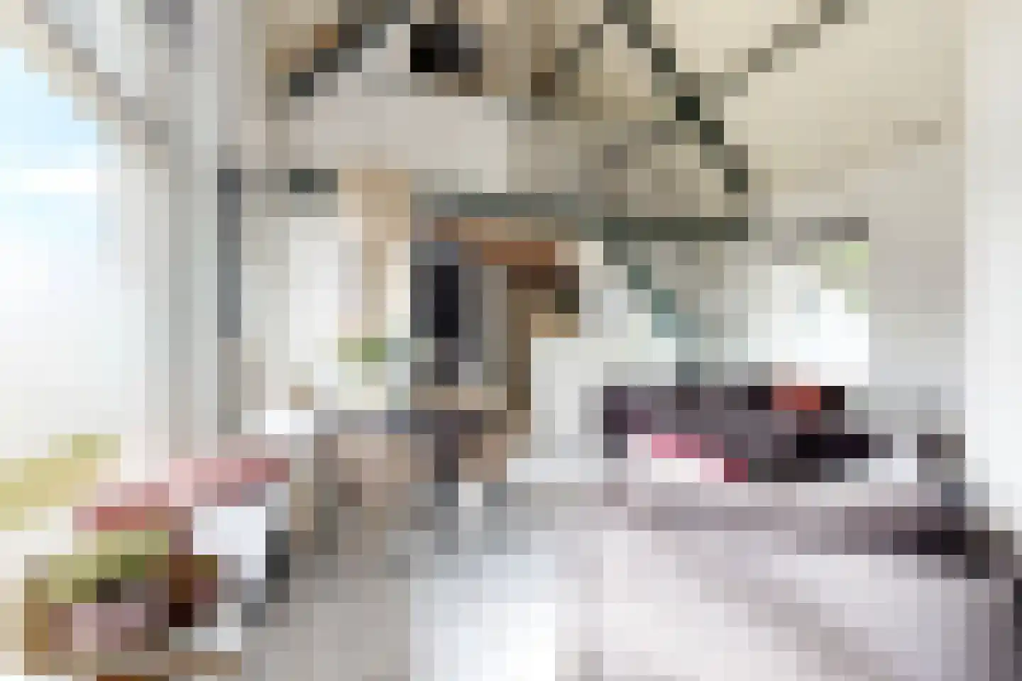 Noordschans 59 Klundert thumbnail 82