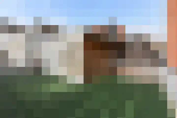 Noordschans 6 A Rotterdam thumbnail 28
