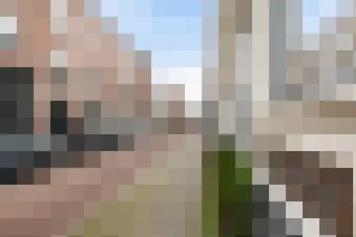 Noordschans 6 A Rotterdam thumbnail 44