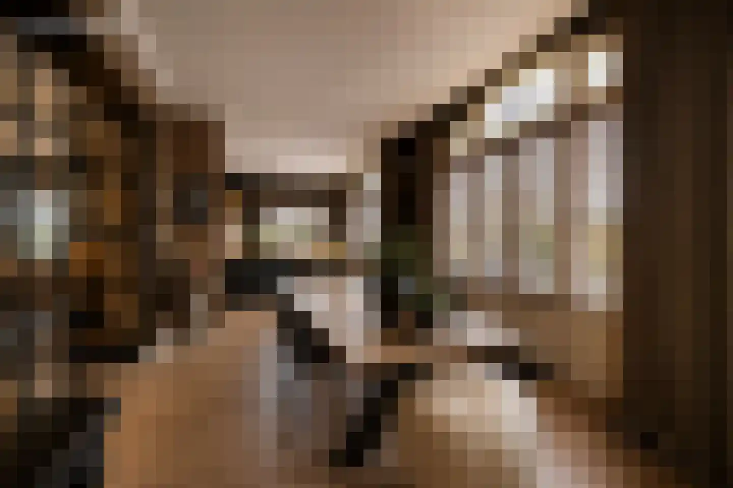 Noordschans 99 Klundert thumbnail 14