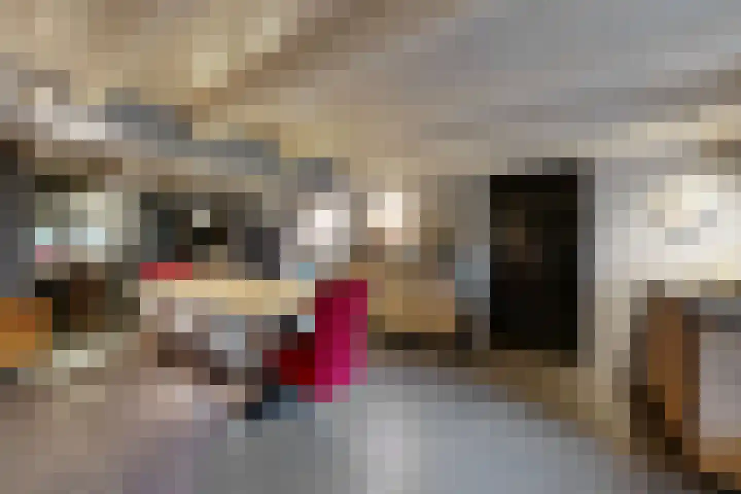 Noordschans 99 Klundert thumbnail 28