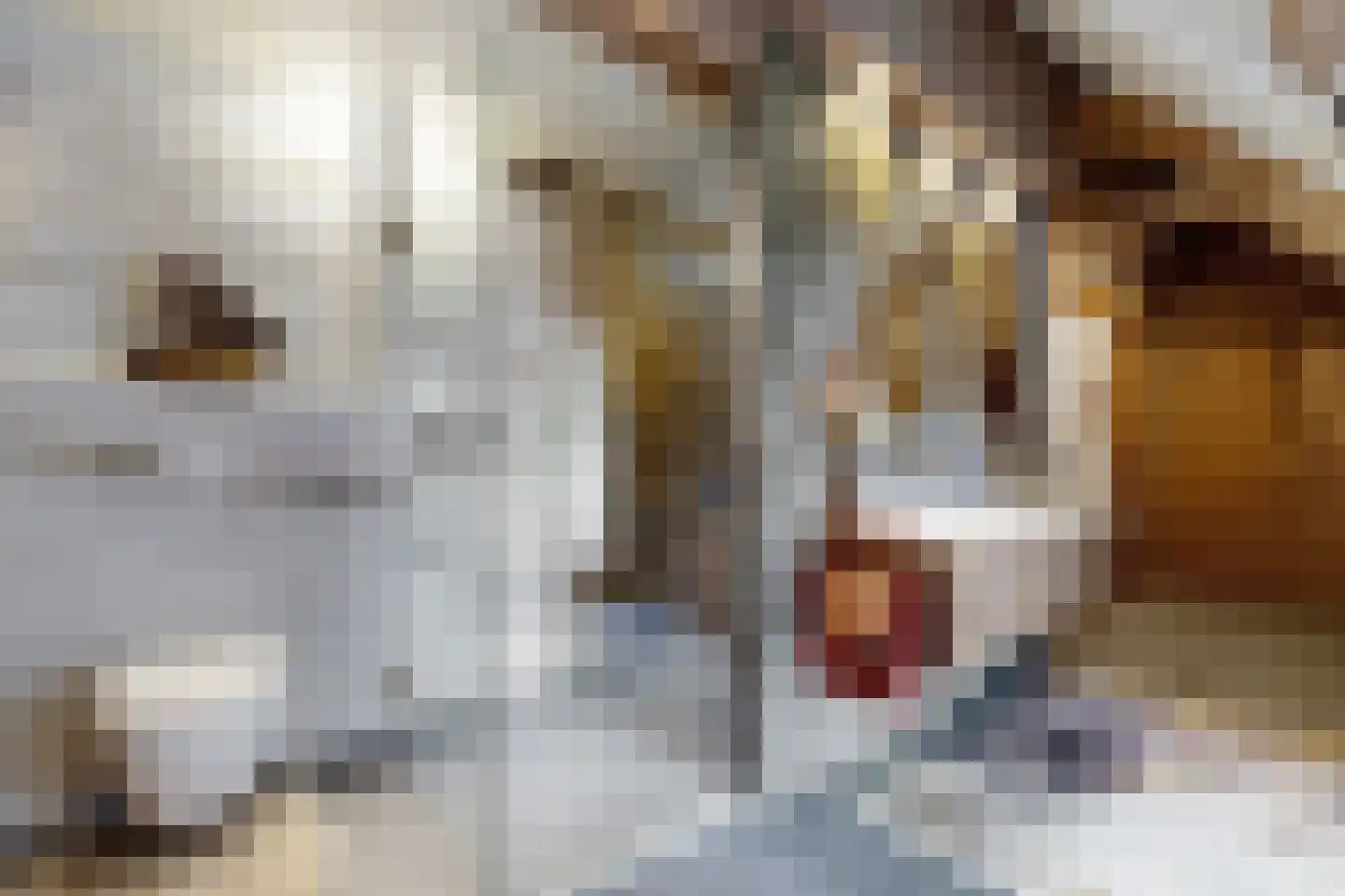 Noordschans 99 Klundert thumbnail 36