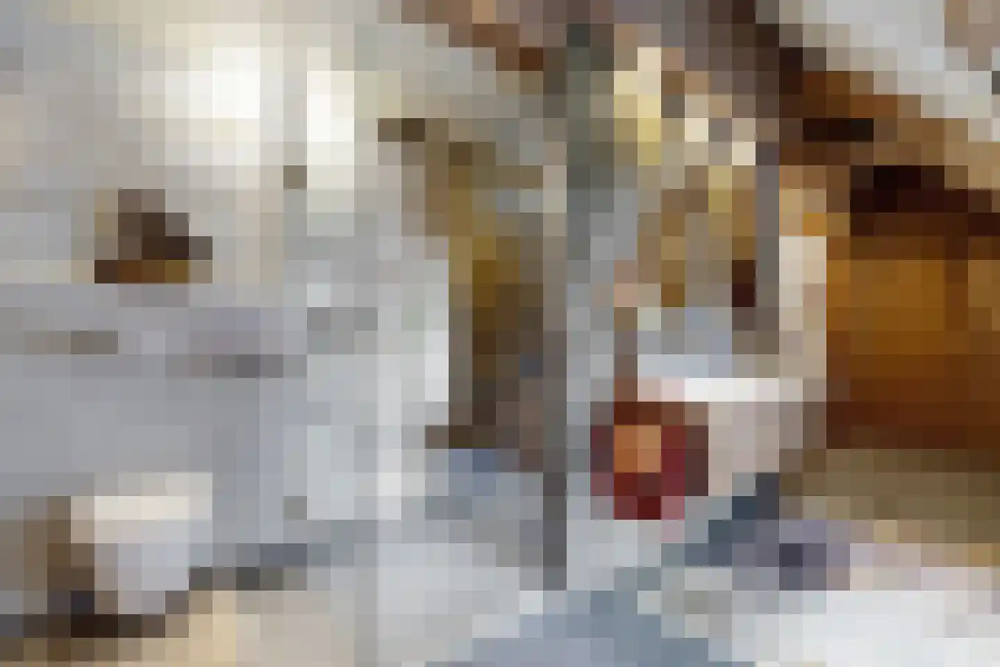 Noordschans 99 Klundert thumbnail 44