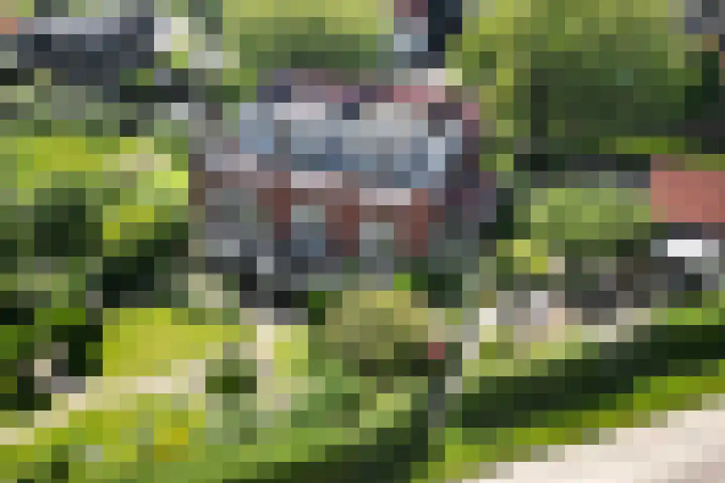 Noordschans 99 Klundert thumbnail 6
