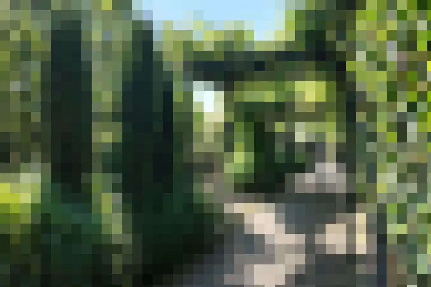 Noordschans 99 Klundert thumbnail 63