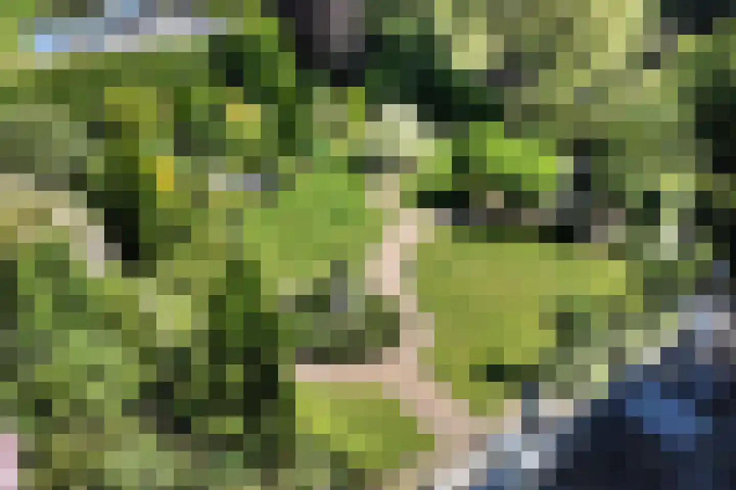 Noordschans 99 Klundert thumbnail 76